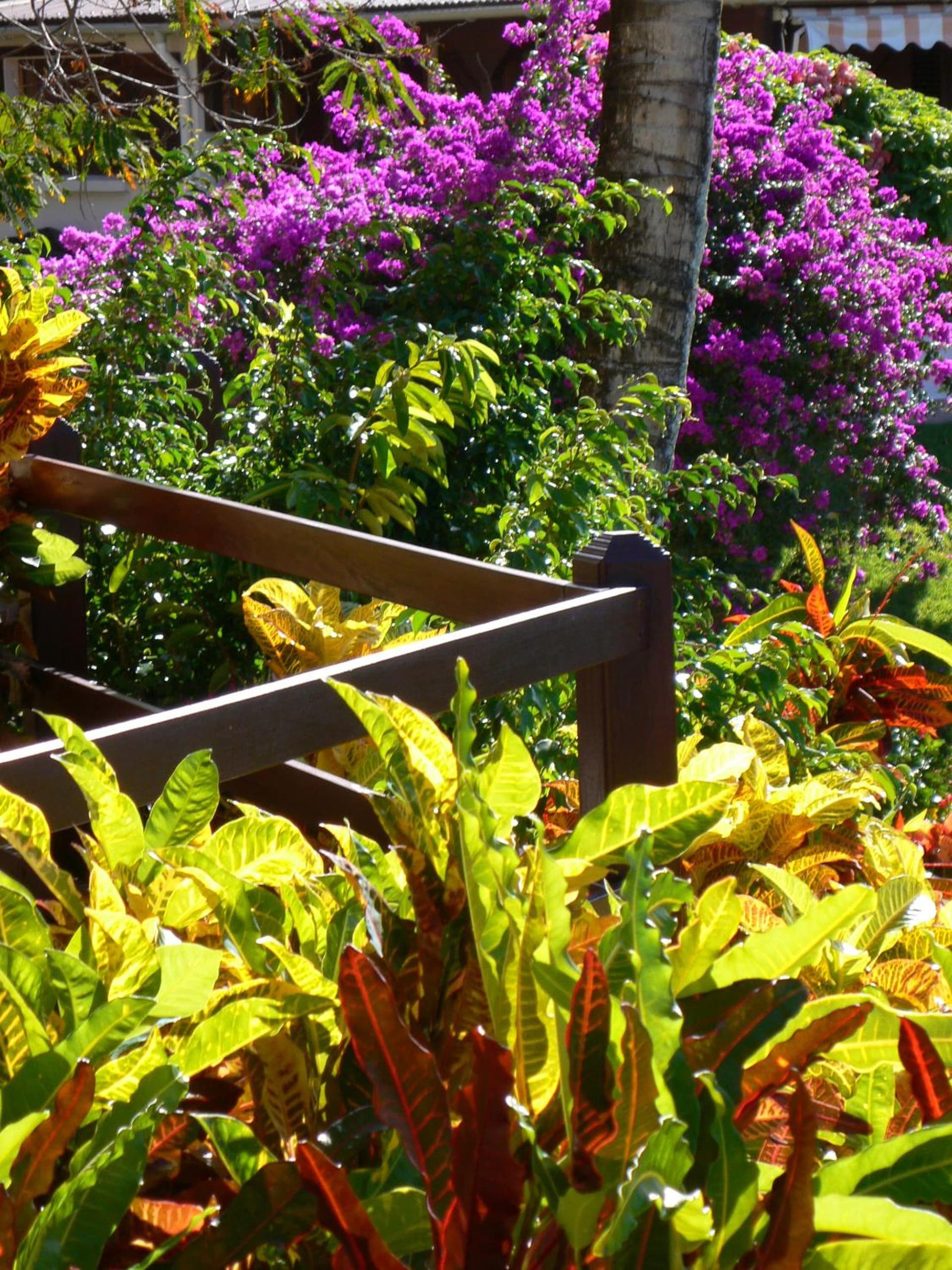 Habitation Grande Anse Résidence hôtelière - Photo 79