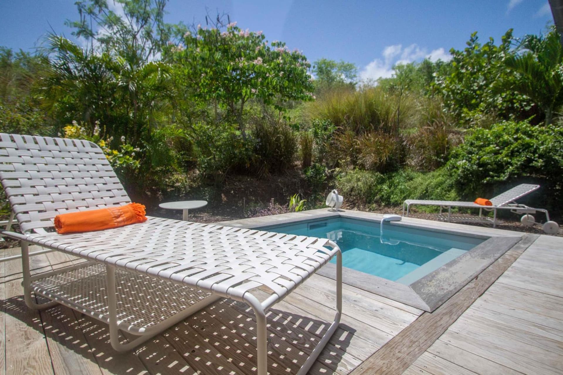 French Coco - Photo 26