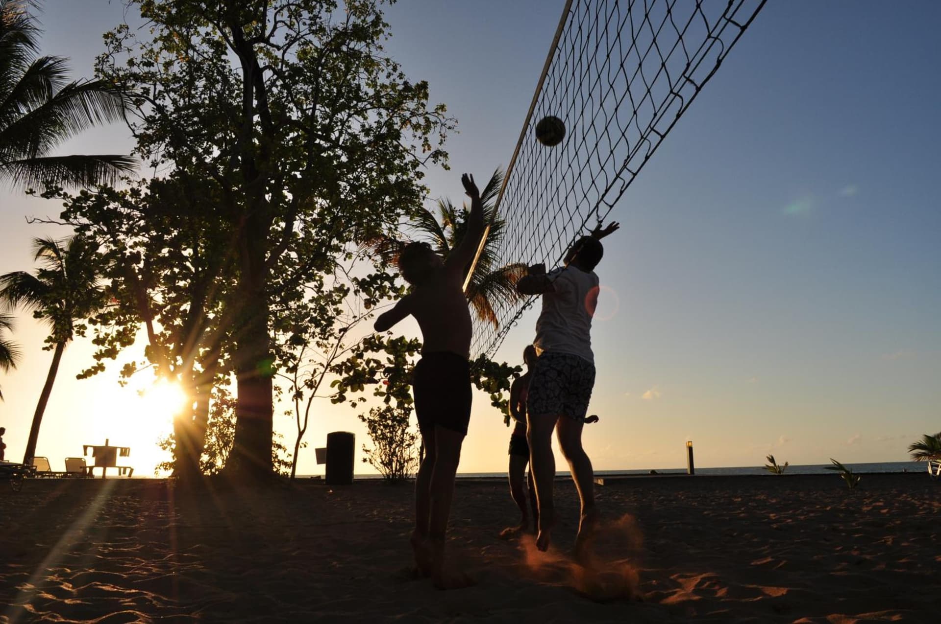 Langley Resort Fort Royal - Photo 83