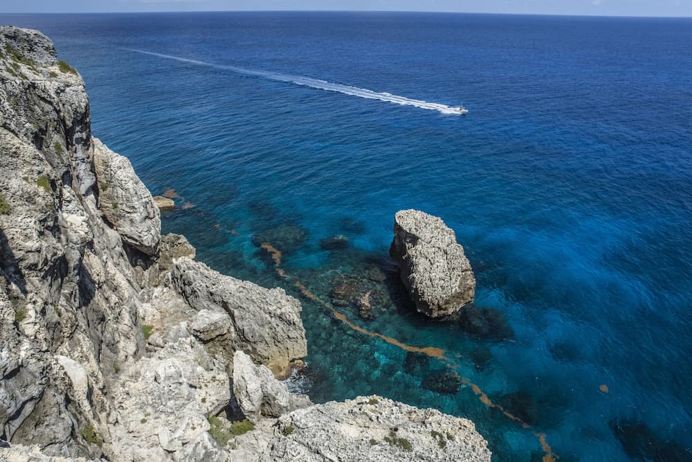 Le Soleil d'Or - Photo 14