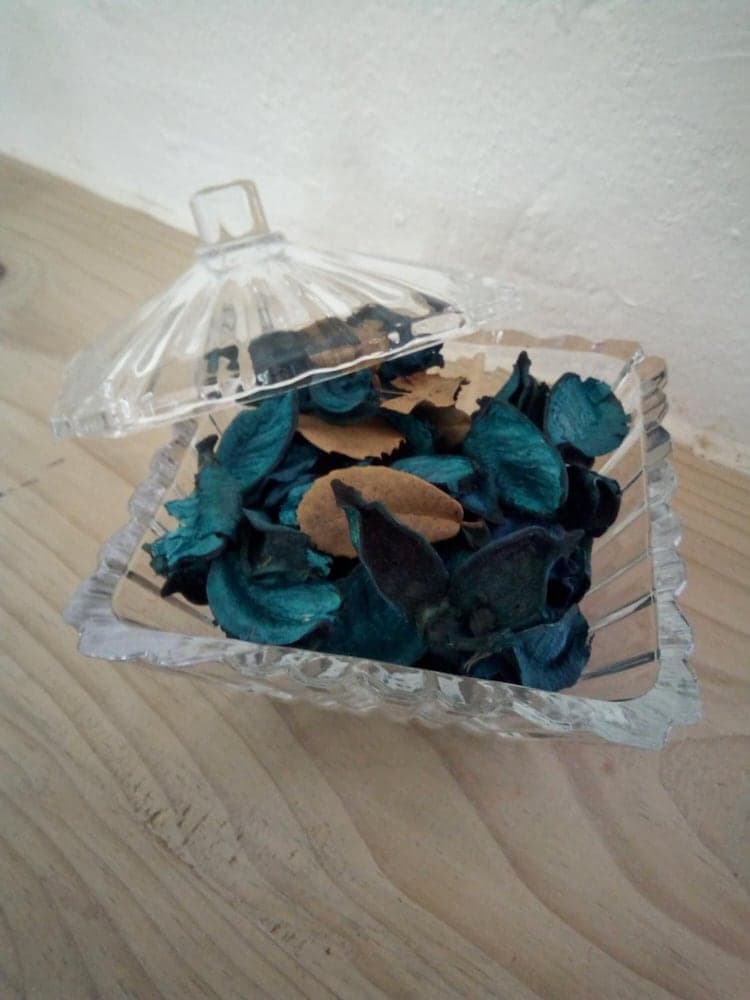 Richmond Vale Diving and Hiking Center - Hostel - Photo 24