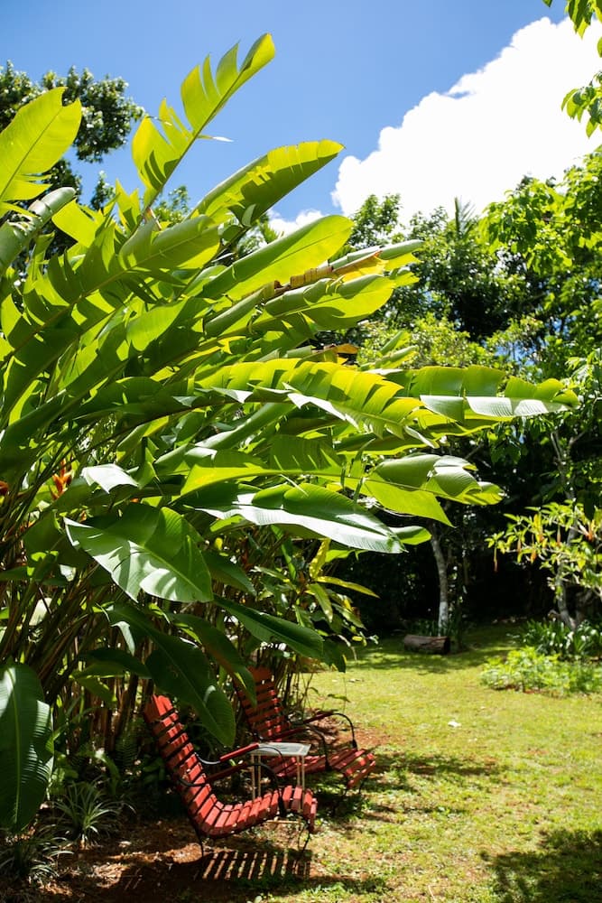 Casa da Buena Vista - Photo 36