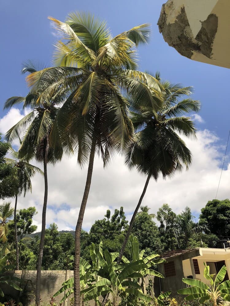 Hotel Inoubliable - Photo 67