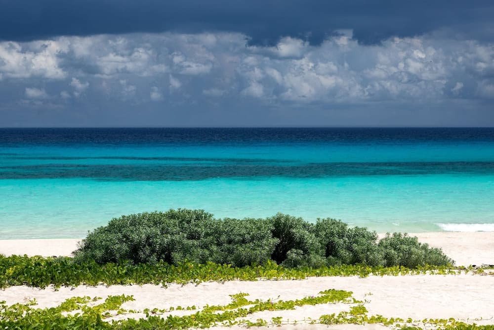 Palmaïa-The House of AïA: All Inclusive Wellness Resort - Photo 80