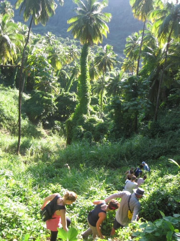 Richmond Vale Diving and Hiking Center - Hostel - Photo 32