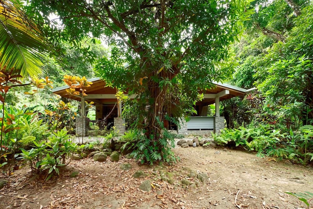 Citrus Creek Plantation - Photo 86