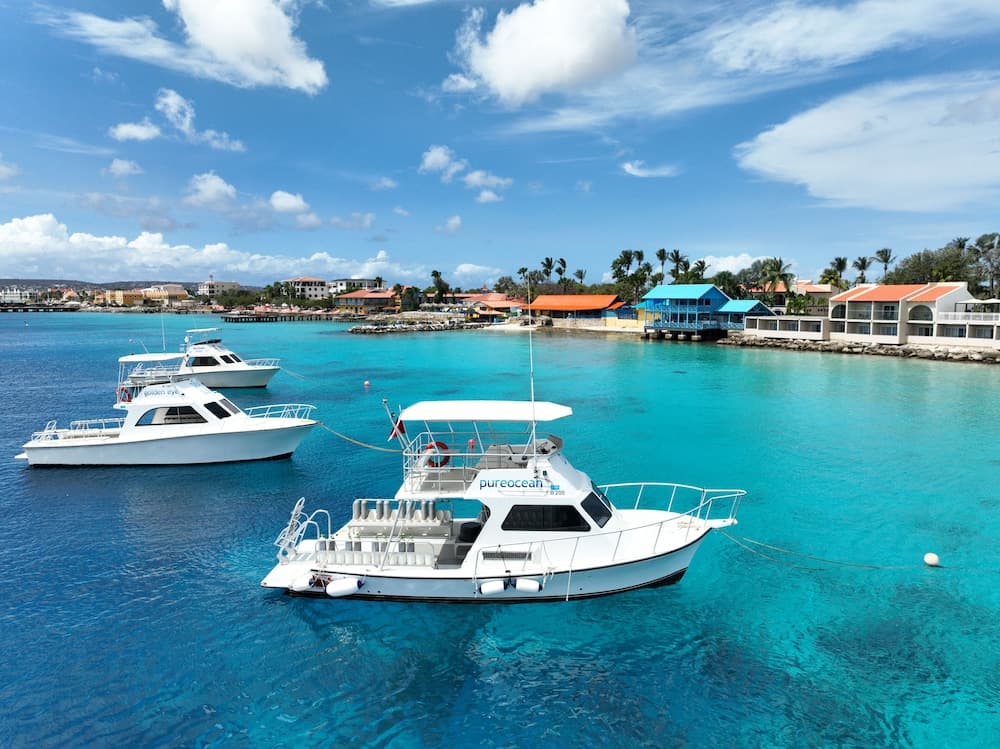 Divi Flamingo Beach Resort & Casino - Photo 50