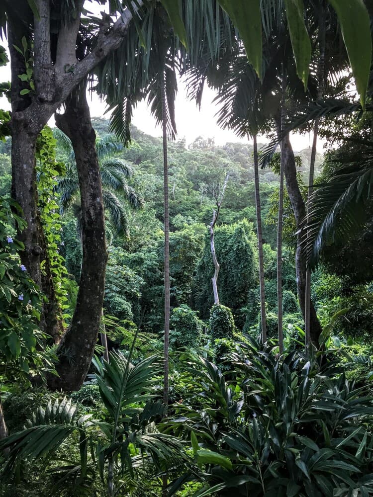 Goblin Hill Villas at San San - Photo 131