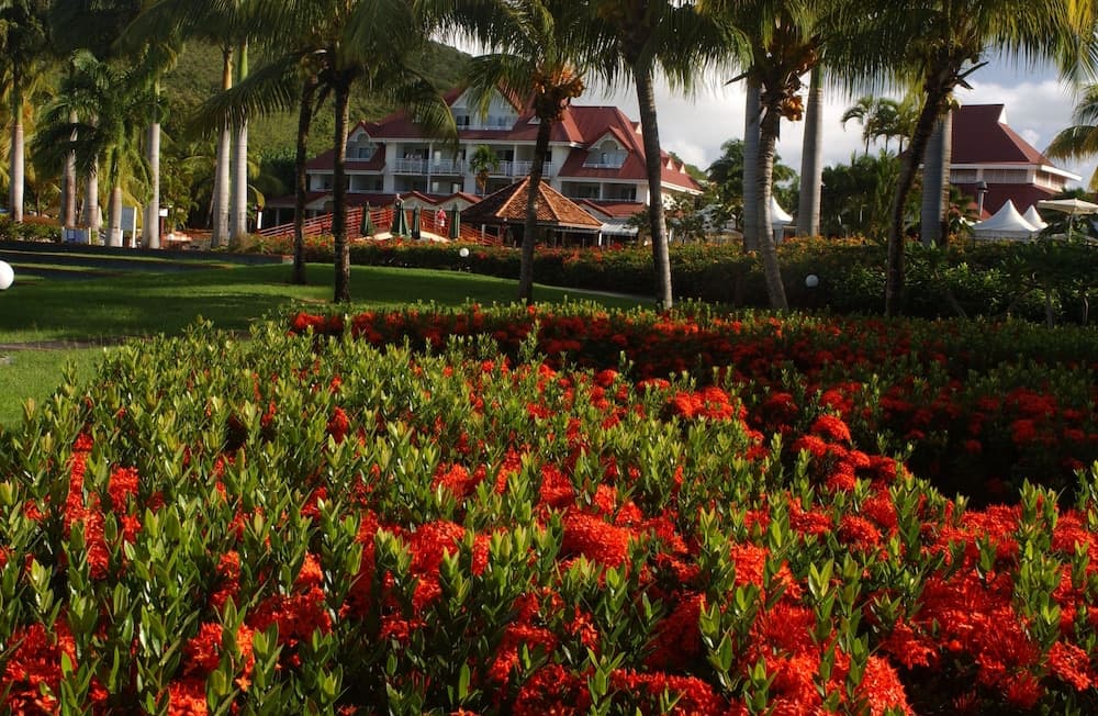 Village St Luce Pierre & Vacances - Photo 81