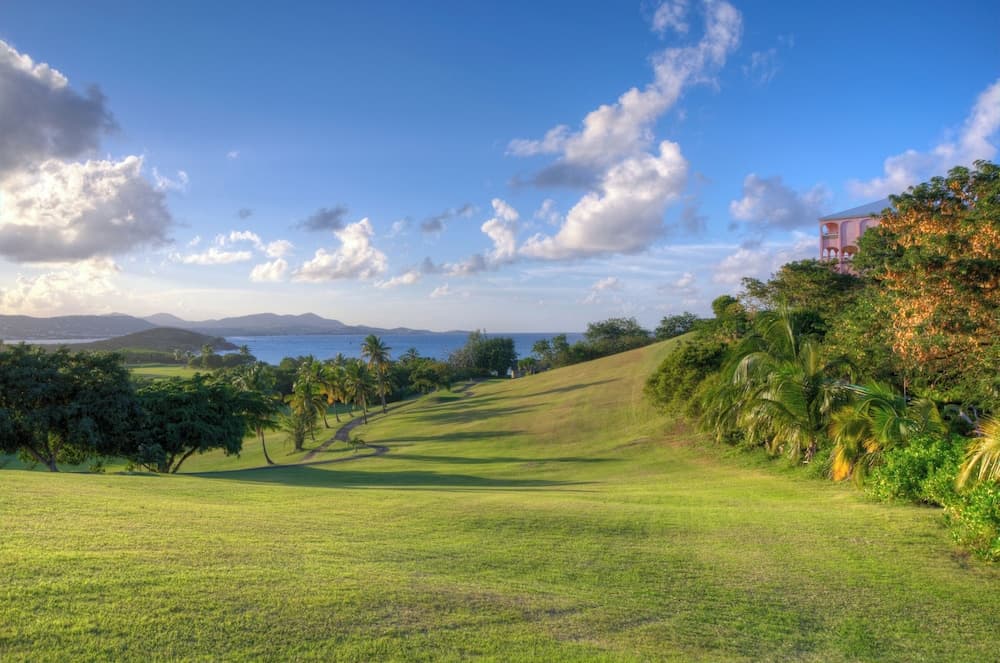 The Buccaneer Beach & Golf Resort - Photo 77