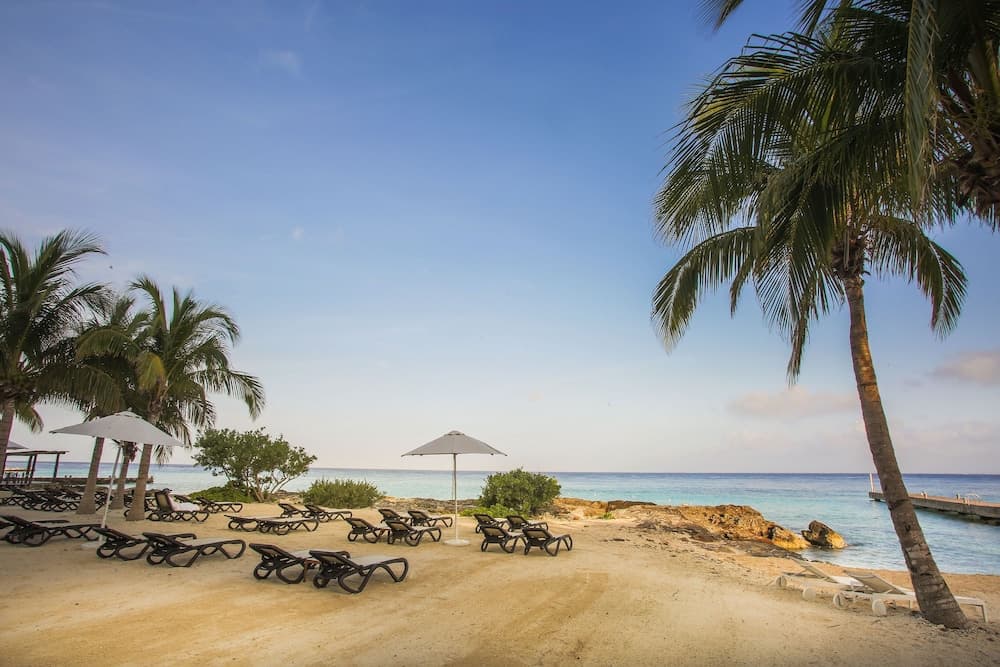 The Westin Cozumel - Photo 63