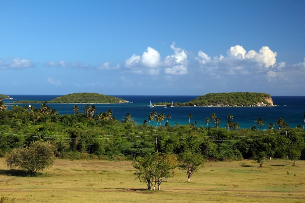 Hacienda Tamarindo - Photo 137