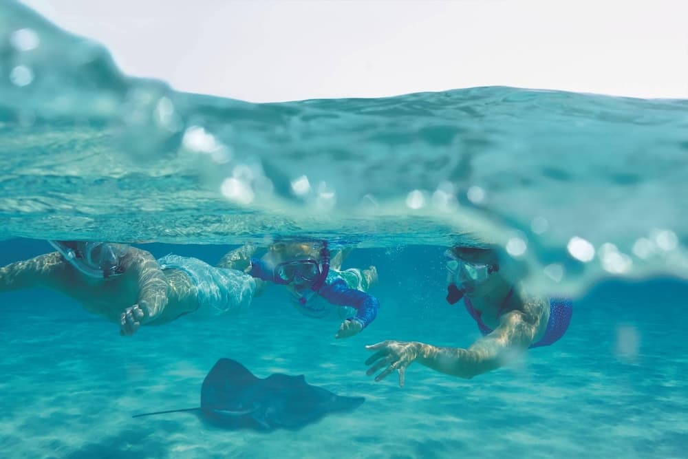 The Ritz-Carlton, Grand Cayman - Photo 46