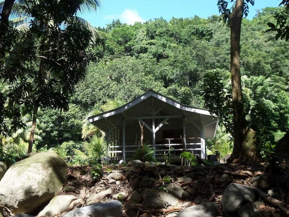 Citrus Creek Plantation - Photo 9