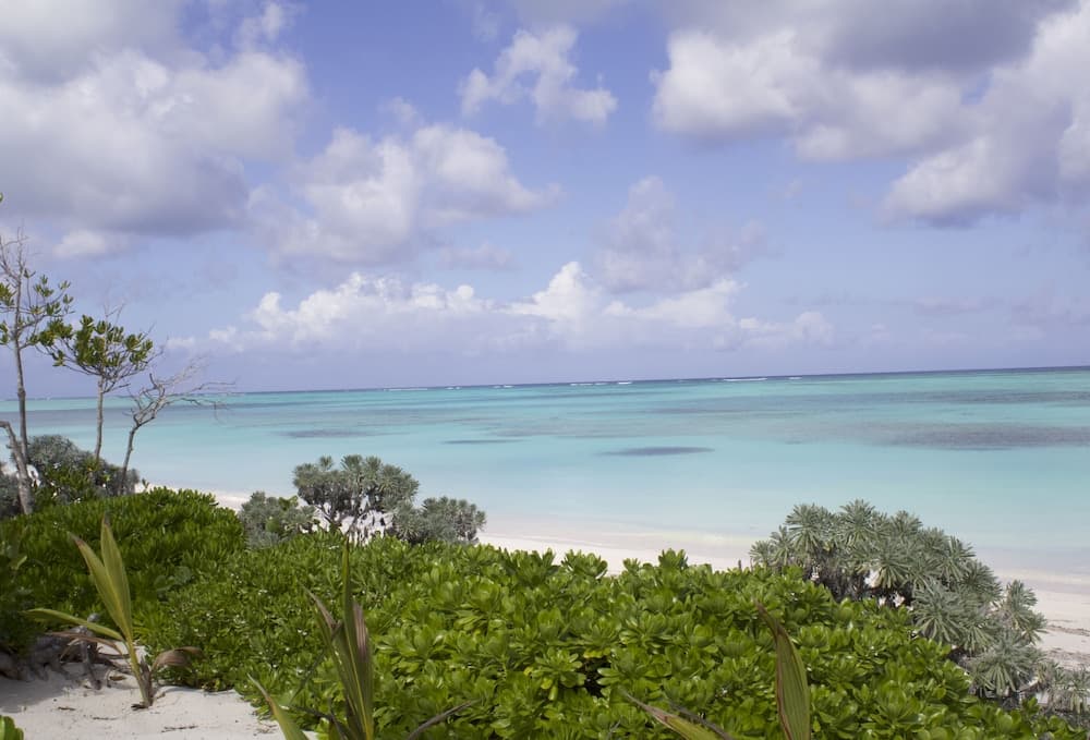 Pelican Beach Hotel - Photo 47