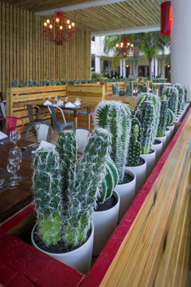 Grand Palladium Jamaica Resort & Spa All Inclusive - Photo 216