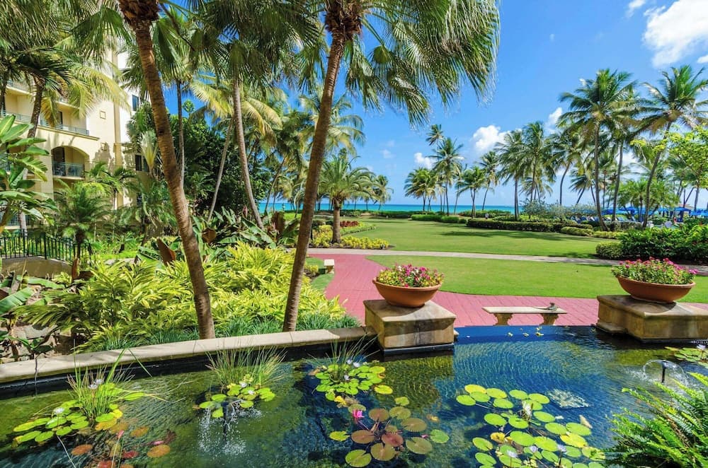 Wyndham Grand Rio Mar Rainforest Beach and Golf Resort - Photo 105