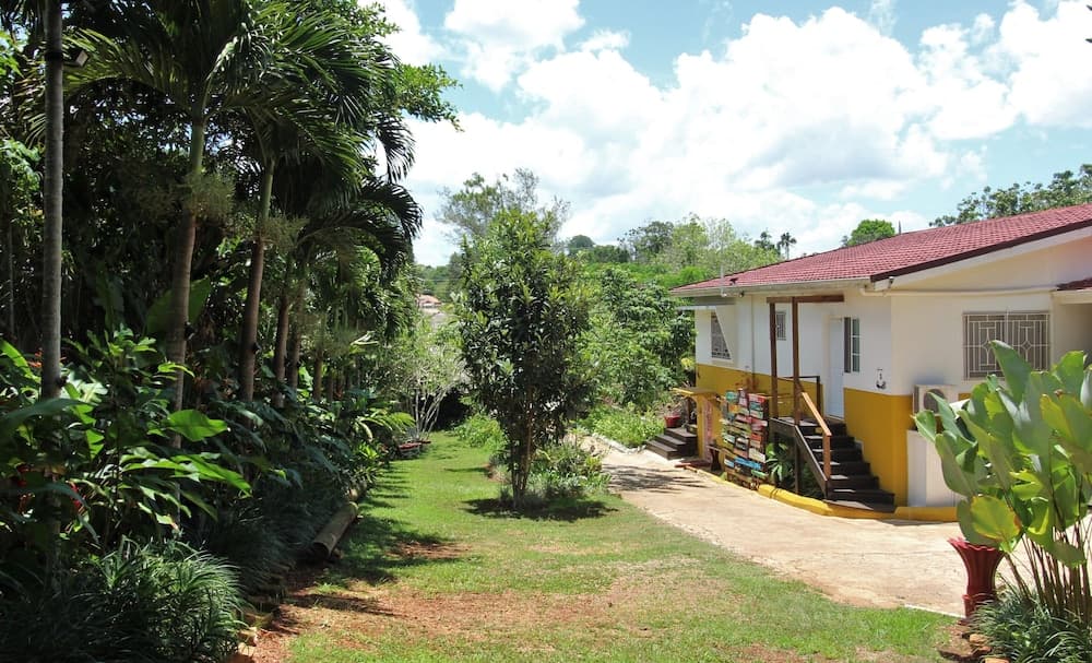 Casa da Buena Vista - Photo 61