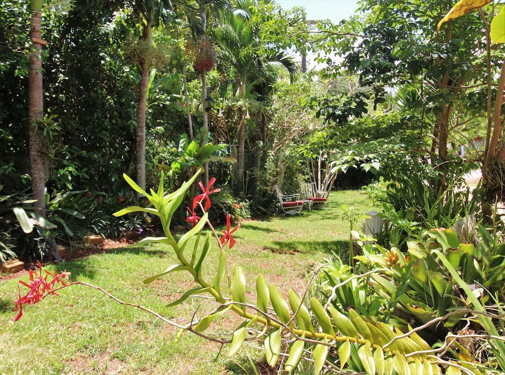 Casa da Buena Vista - Photo 60