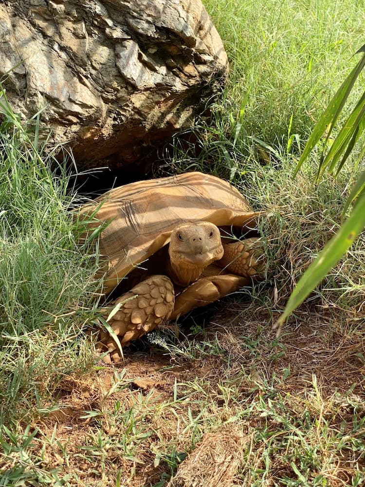 Hotel Caribbean Adventure - Photo 38