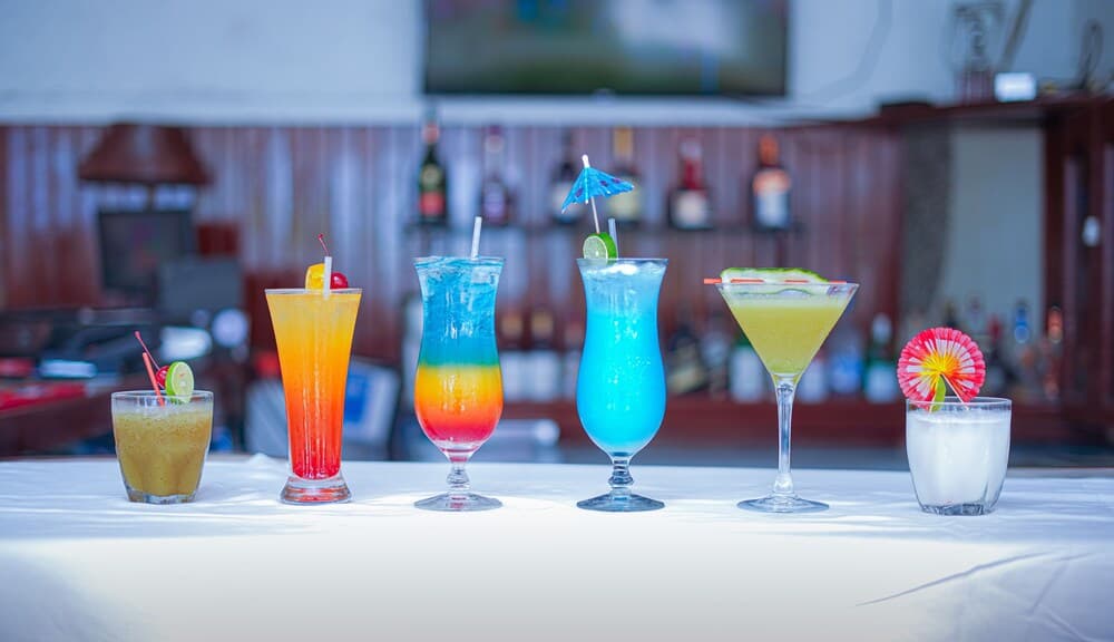 Visa Lodge - Photo 8