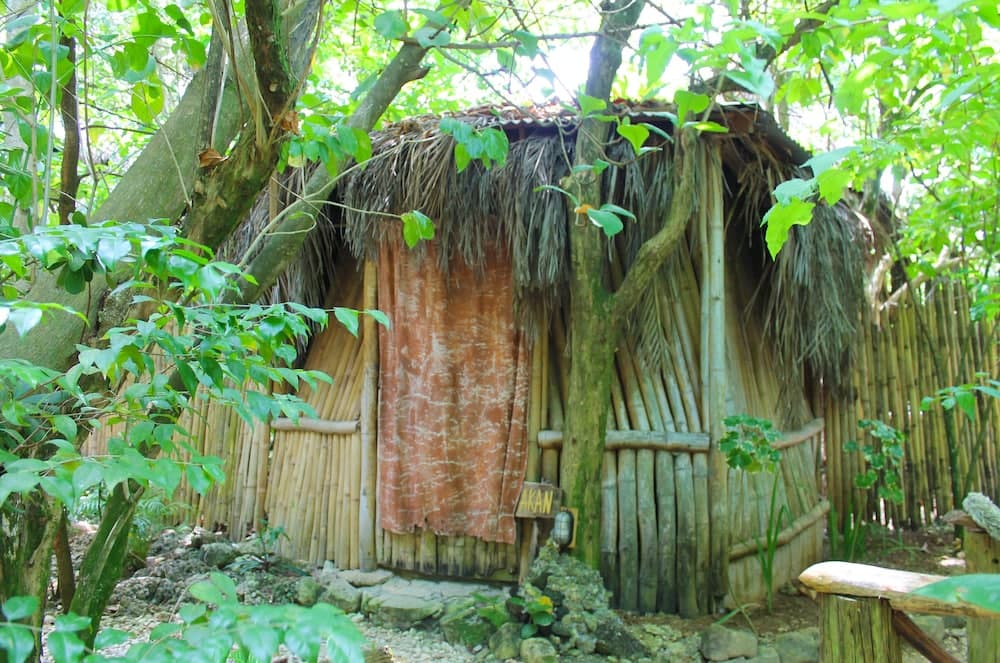 Great Huts - Photo 139