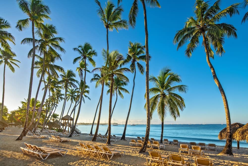 Dreams La Romana Resort & Spa - All Inclusive - Photo 67