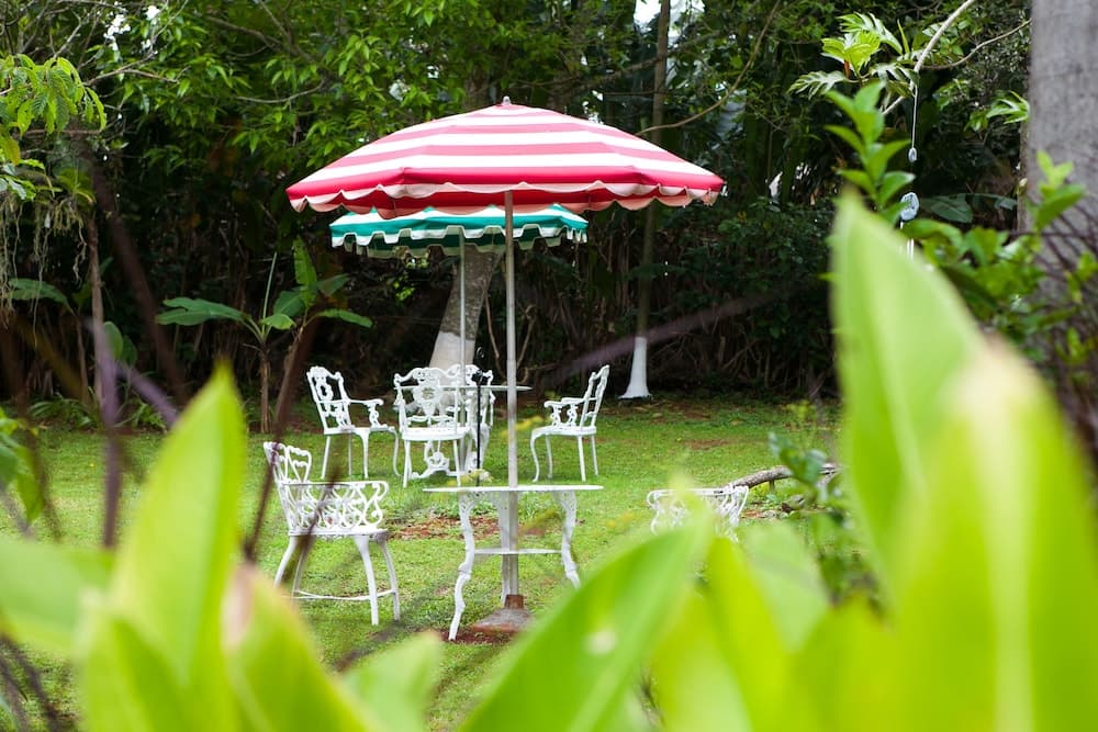 Casa da Buena Vista - Photo 45