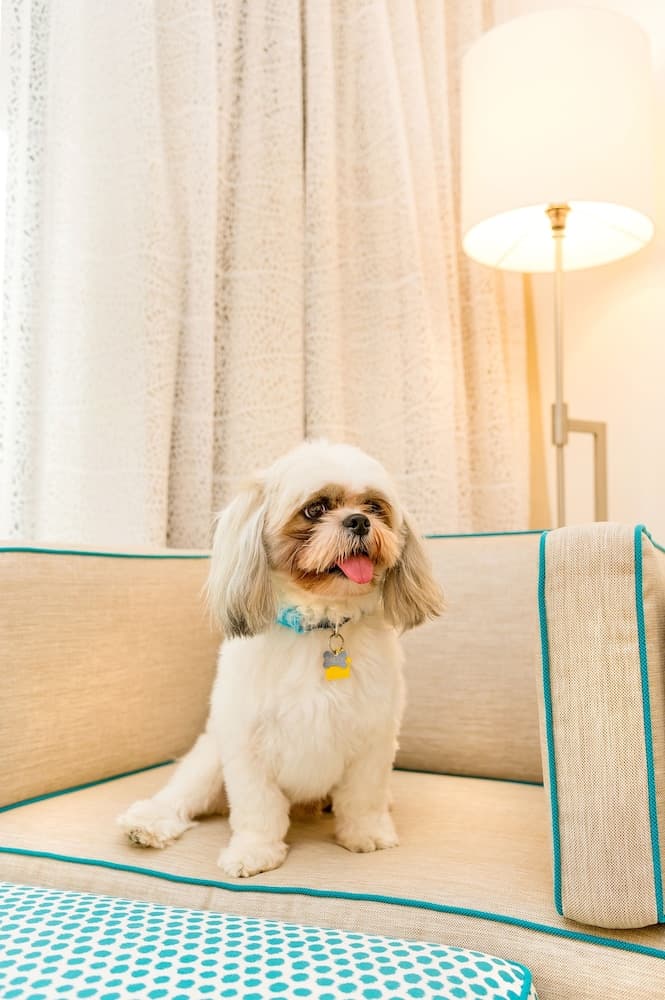 Grand Hyatt Baha Mar - Photo 74