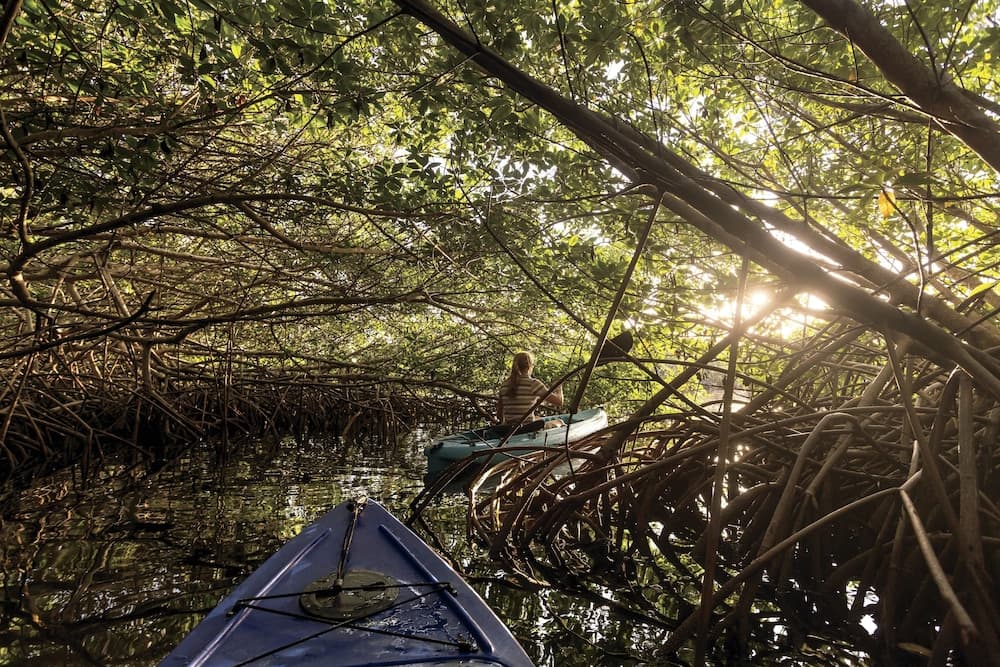 The Ritz-Carlton, Grand Cayman - Photo 122
