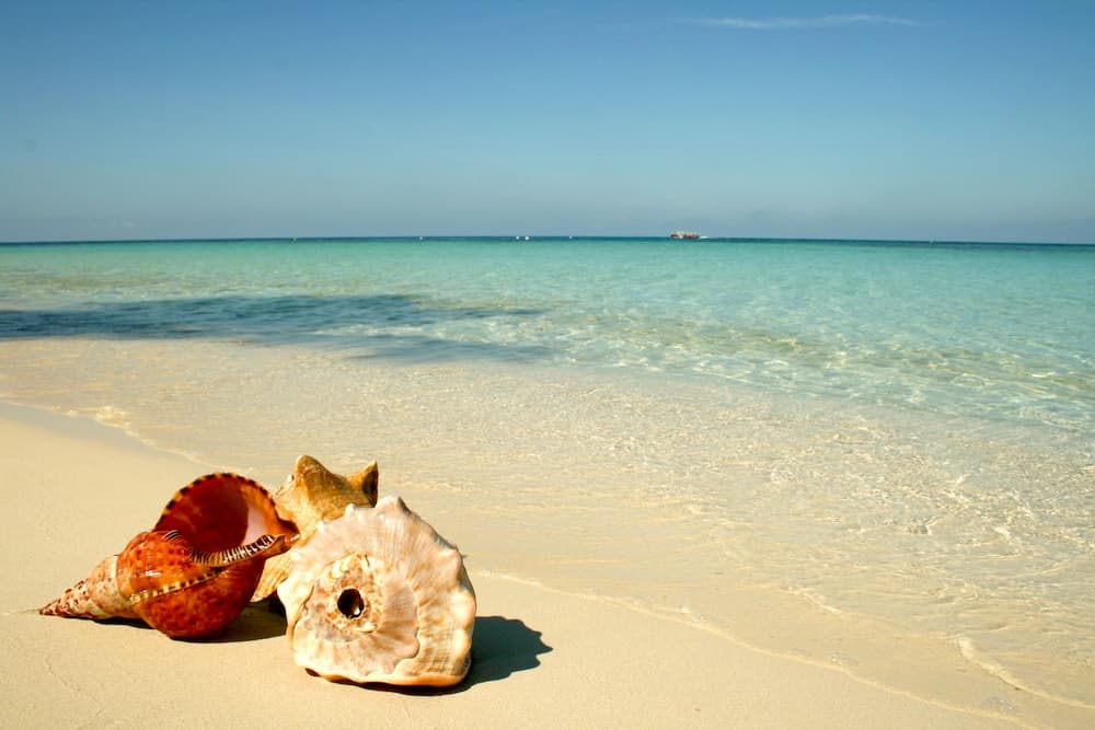 Infinity Bay Spa & Beach Resort - Photo 52