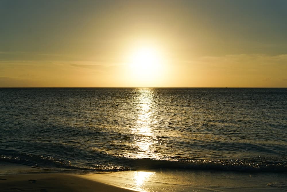 Pine Cay, Turks and Caicos - Photo 10