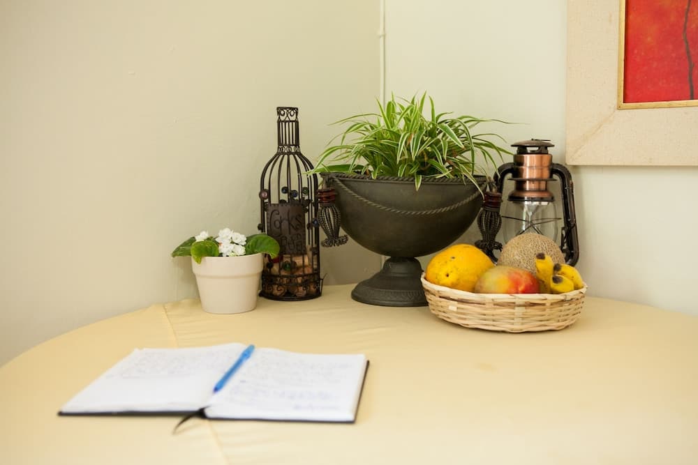 Casa da Buena Vista - Photo 33