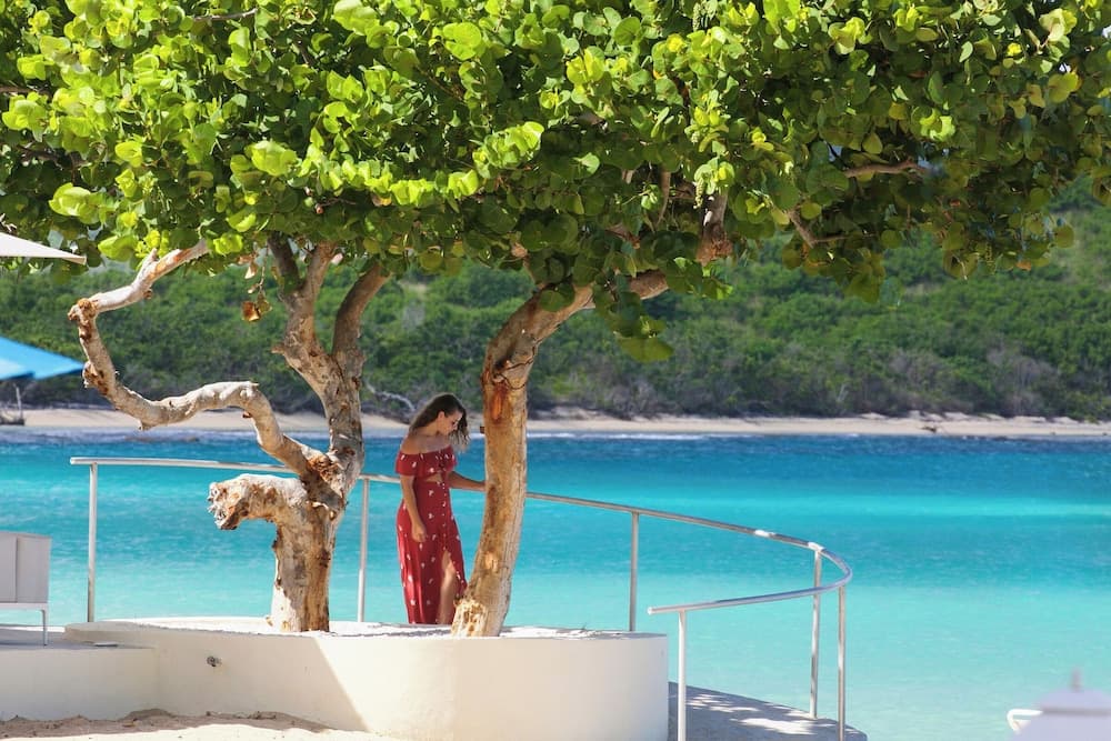 The Buccaneer Beach & Golf Resort - Photo 68