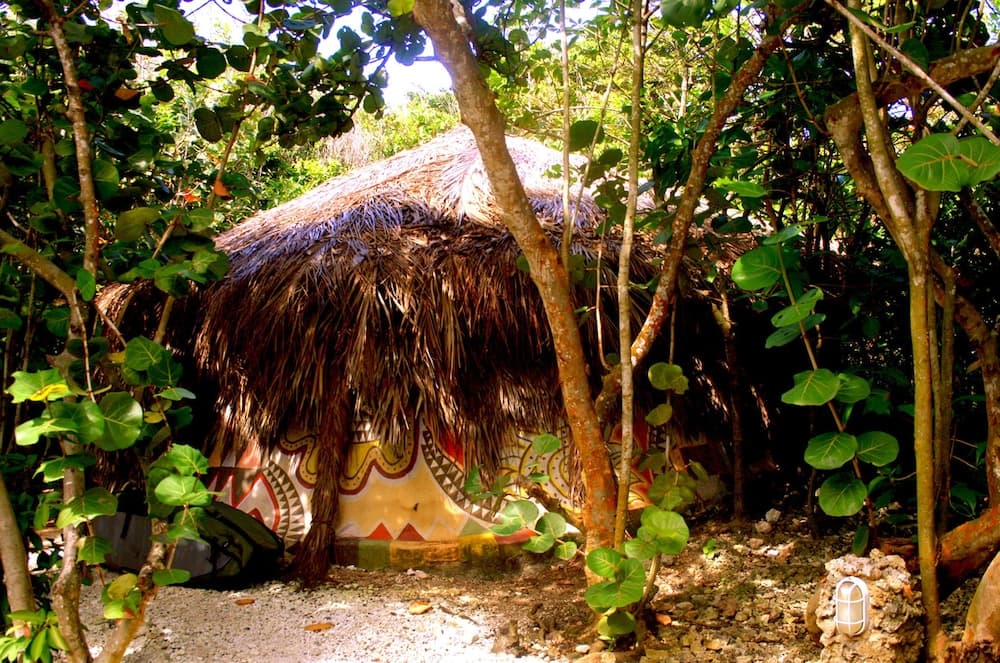 Great Huts - Photo 137