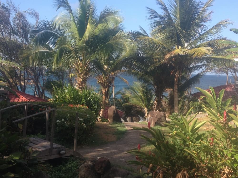 Petite Anse Hotel - Photo 75