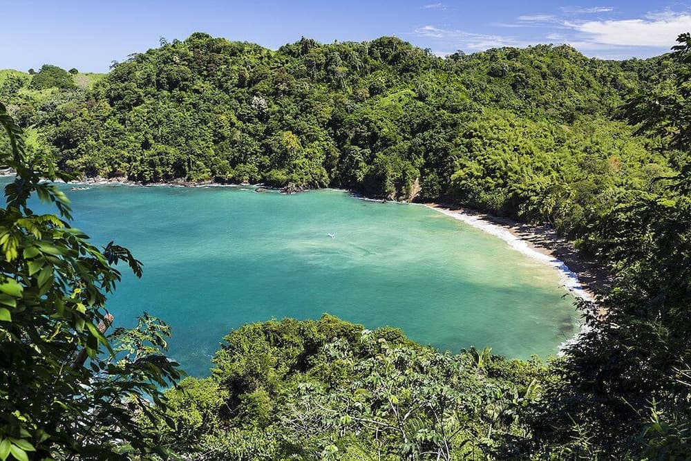 Comfort Inn & Suites Tobago - Photo 44