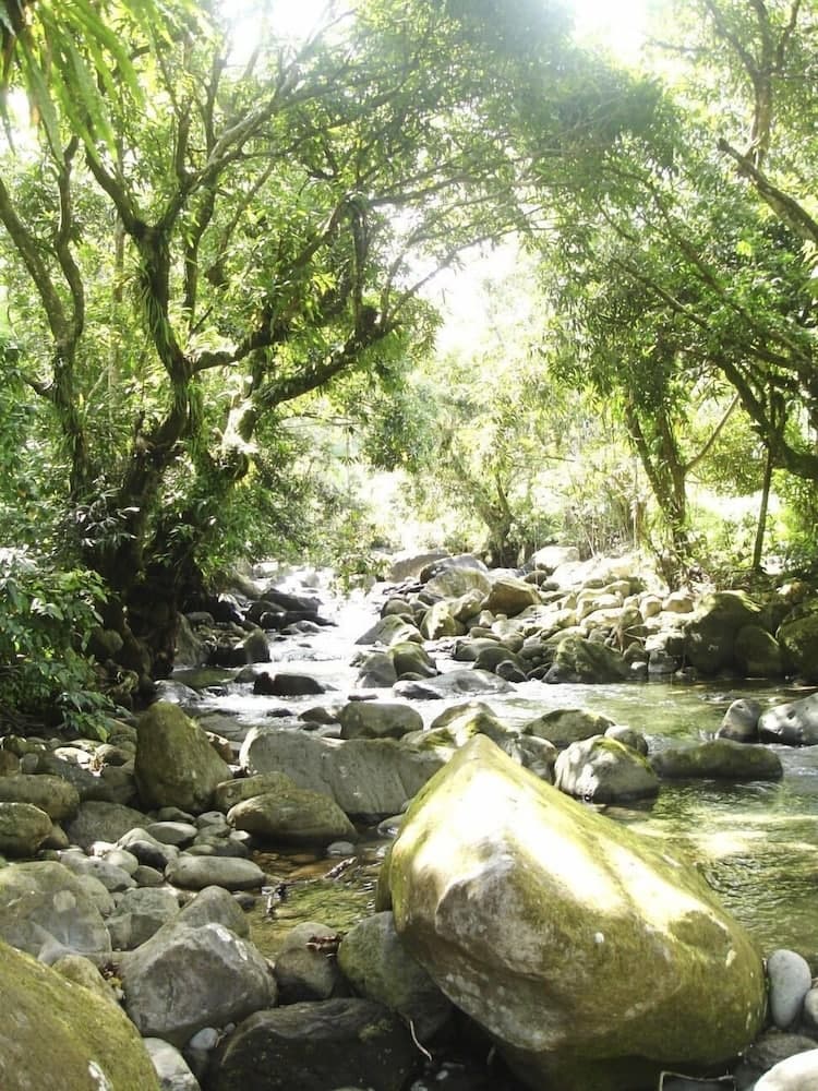 Citrus Creek Plantation - Photo 115