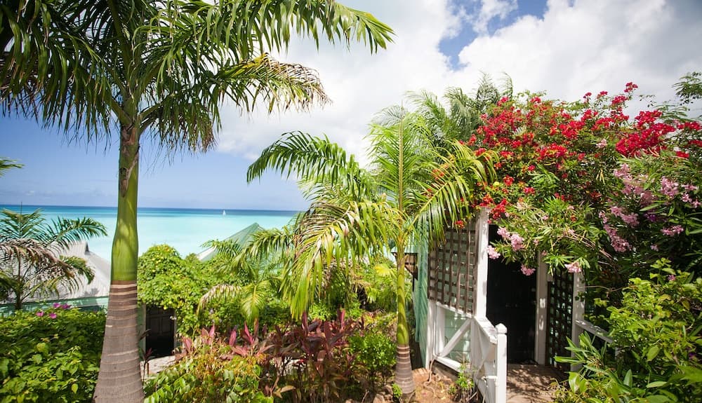 COCOS Hotel - Adults Only - Caters to Couples - All Inclusive - Photo 40