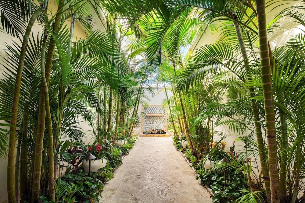 Four Seasons Resort and Residence Puerto Rico - Photo 79