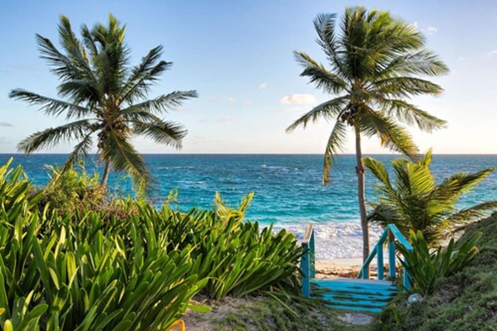 La Bougainvillea Hotel and Villas - Photo 117