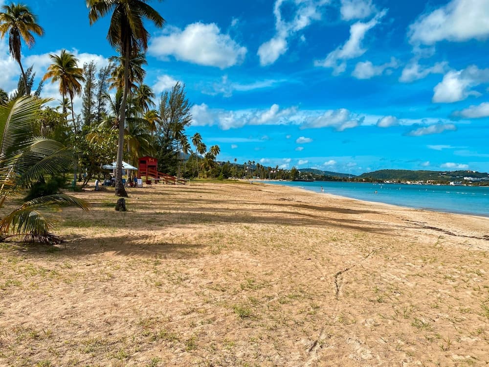 El Conquistador Resort - Photo 56