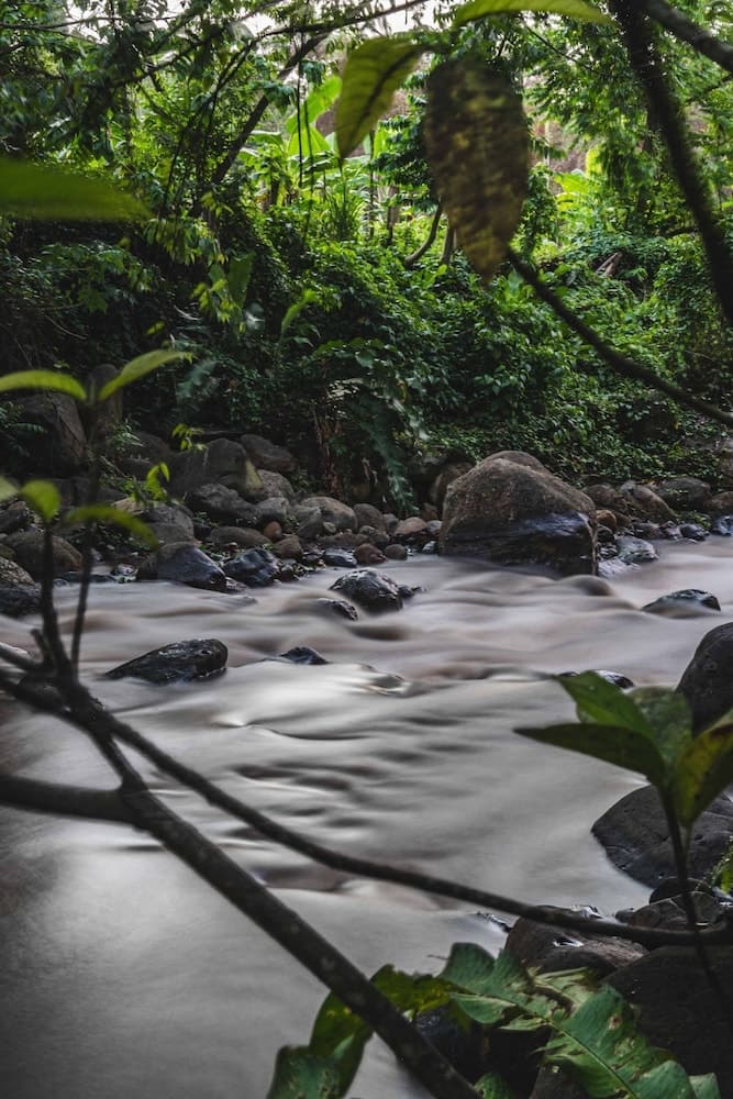 Kootney Resorts - Photo 86