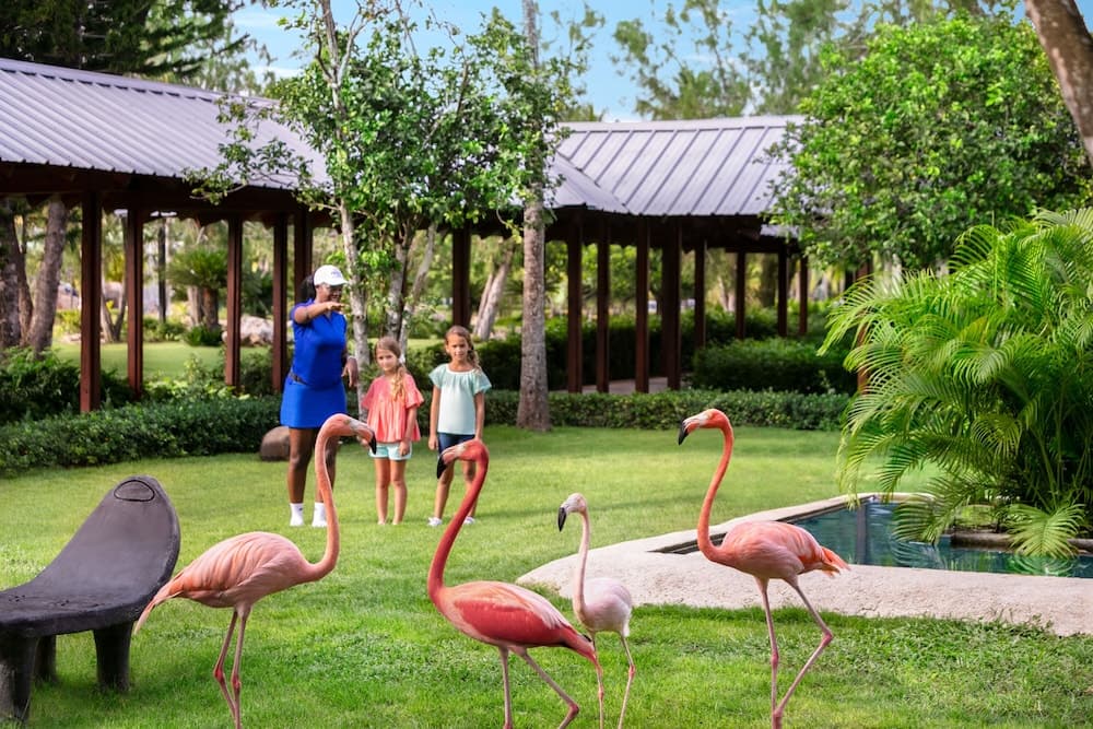 Dreams La Romana Resort & Spa - All Inclusive - Photo 154