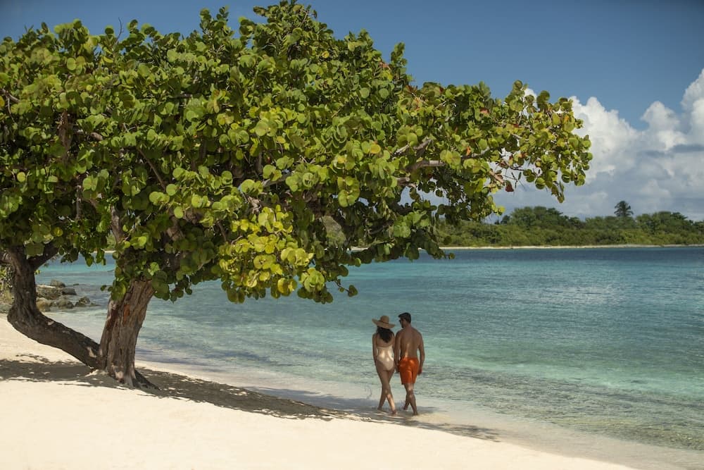 The Ritz-Carlton, St. Thomas - Photo 161