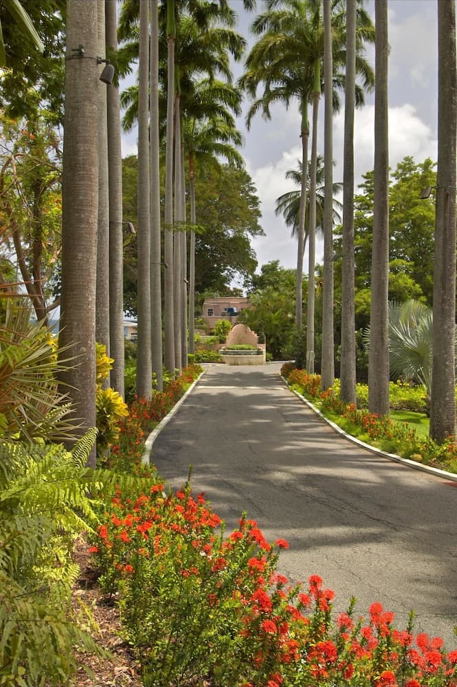 Fairmont Royal Pavilion - Photo 73