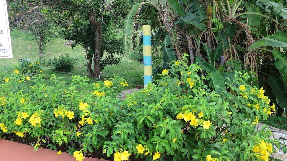 Timothy Beach Resort - Photo 14