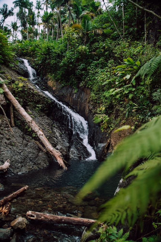 El Conquistador Resort - Photo 59