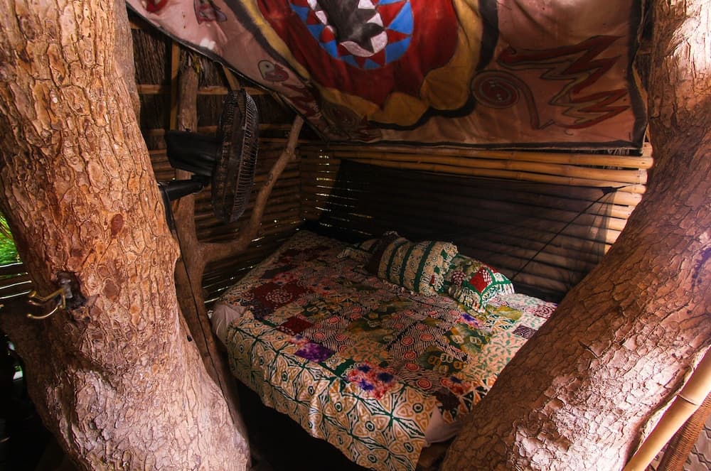 Great Huts - Photo 89