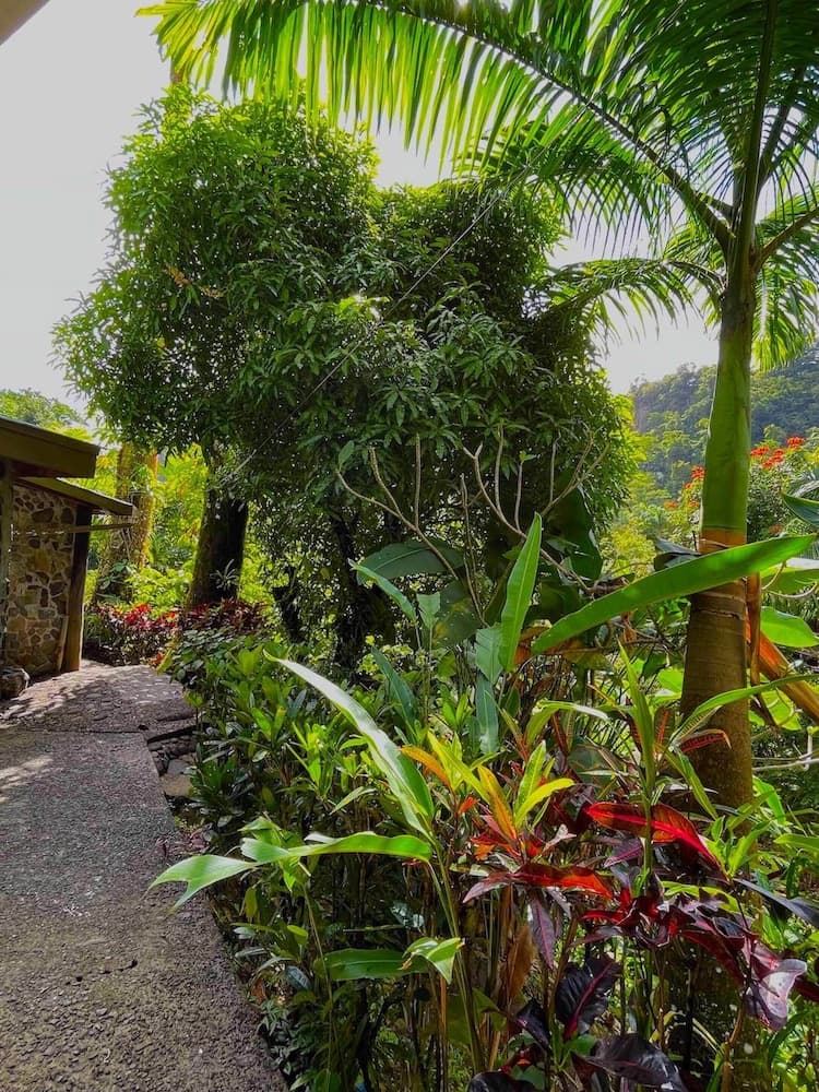 Cocoa Cottages - Photo 55